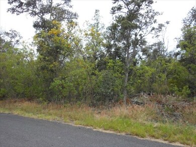 0 Paradise Pkwy unit 258144, Ocean View, HI 96737 - photo 5