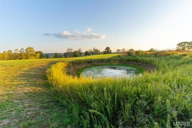 174 Last Resort Rd, Galena, MO 65656 - photo 6