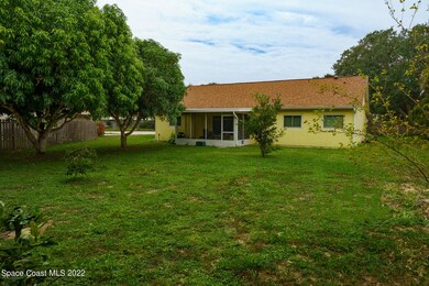 Large Backyard