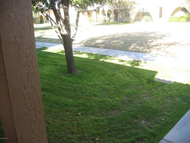 Front yard