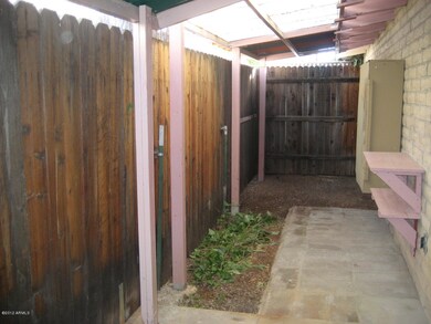 Back Patio