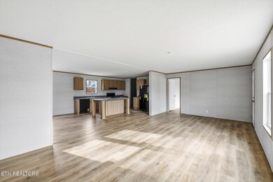 402 Tedder St, Rockwood, TN 37854 - photo 5