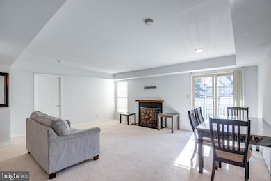 12154 Penderview Terrace unit 1231, Fairfax, VA 22033 - photo 7