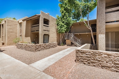 02 - Camelback