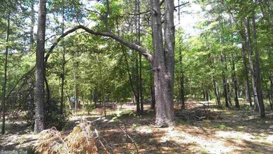 9999 Ferguson Rd, Heber Springs, AR 72543 - photo 4