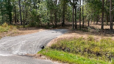 0 Richard Dorning Rd unit Lot001 24538016, Kimmins, TN 38462 - photo 2