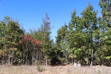 14504 Farmville Rd, Meherrin, VA 23954 - photo 7