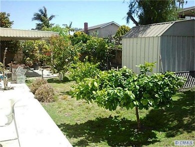 BackYard2