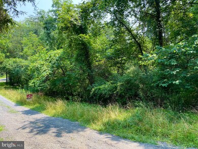 A11 Mount Laurel Cir, Lost River, WV 26810 - photo 6