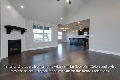 Shelby 5 Bed Basement