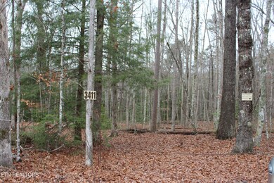 3411 Pickett Park Hwy, Jamestown, TN 38556 - photo 3