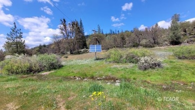 1640 Summit Creek Rd, Hayfork, CA 96041 - photo 7