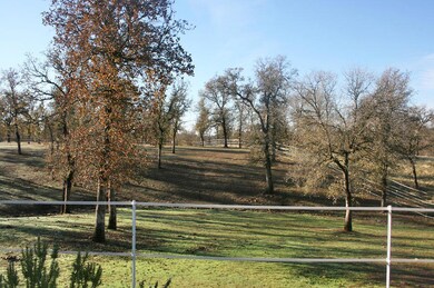 IMG_8228