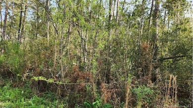 0 Olsen Rd unit SWL25001361, Sulphur, LA 70665 - photo 4