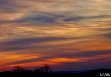 2377 Fiddler's Close Rd unit 115 STB, Washington, MO 63090 - photo 4