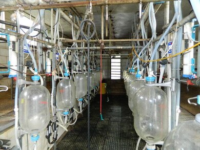 3411 Verona Caney Rd, Lewisburg, TN 37091 - photo 6