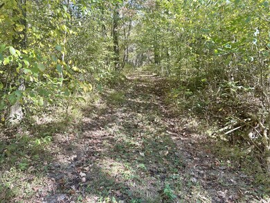 The path leading up to the cleared building site!!