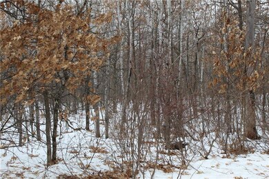 0 W Minerva Dam Rd unit 1539971, Swiss, WI 54830 - photo 4