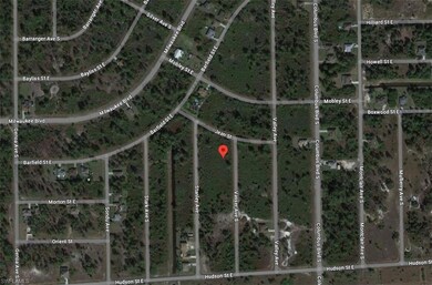 640 Vasser Ave S, Lehigh Acres, FL 33974 - photo 5