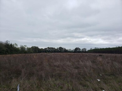 0 266th St, O'Brien, FL 32071 - photo 6