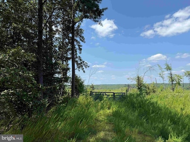 0 Bremo Road (Tract: Jr Barnes Dillion), Bremo Bluff, VA 23022 - photo 5