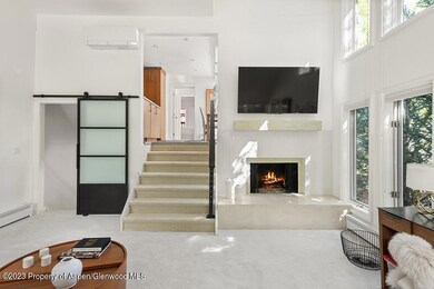 900 E Durant Ave unit E116, Aspen, CO 81611 - photo 3