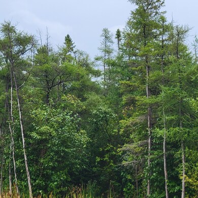 V/L 40AC W Hamilton Rd, Alpena, MI 49707 - photo 4