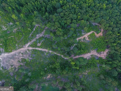 0 Roy Dean Rd unit 10564383, Buchanan, GA 30113 - photo 4