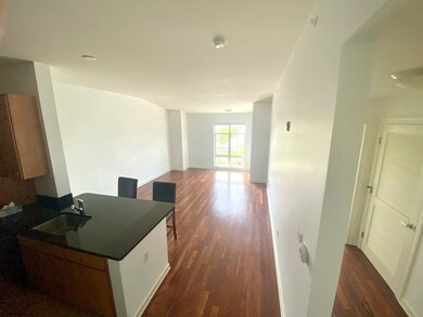 4 Repton Cir unit 4412, Watertown, MA 02472 - photo 2