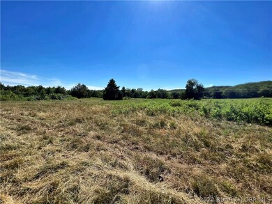 12270 Chicago Rd, Dixon, MO 65459 - photo 3