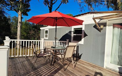 3521 SW Wilson Springs Rd, Fort White, FL 32038 - photo 4