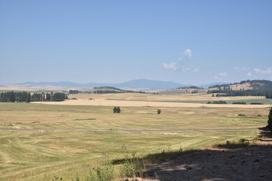 Pebblestone Dr, Plummer, ID 83851 - photo 6