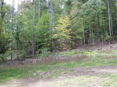 00 Perch Pond Rd, Lisbon, NH 03585 - photo 3