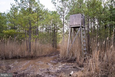 0 Andrews Rd unit MDDO2004556, Crapo, MD 21626 - photo 6