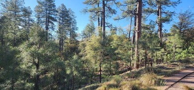 0 E Phoenix St, Payson, AZ 85541 - photo 7