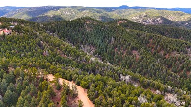 13511 S Firedog Way, Larkspur, CO 80118 - photo 3