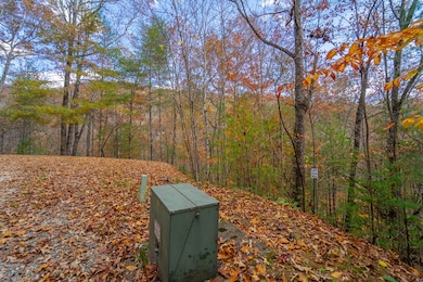 Lot 24 Rivers Edge Trail, Franklin, NC 28734 - photo 3