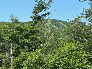 27 Stag's Leap Ln, Wilmington, VT 05363 - photo 3