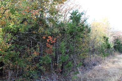 0 Red Lake Rd, Albany, OK 74726 - photo 4