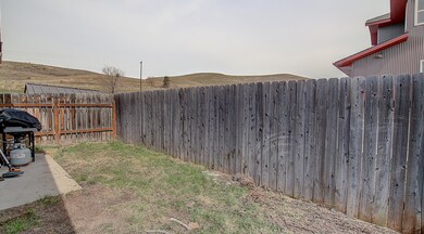Back Yard 1