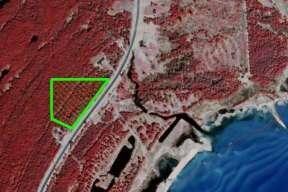 2-225028img2[1]