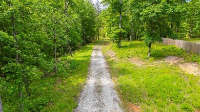 View of long gravel driveway back to the homesite.