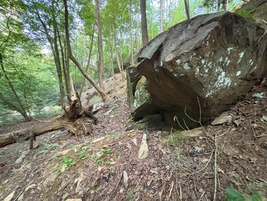 LOT 14 McAfee Knob Rd, Ellijay, GA 30510 - photo 7