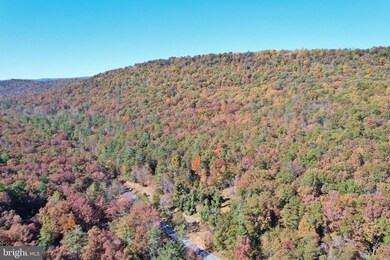 0 Liberty Furnace Rd unit VASH2004718, Edinburg, VA 22824 - photo 6