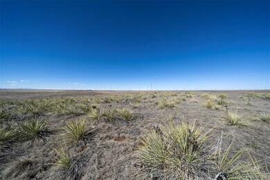 36420 Wagner Ln, Calhan, CO 80808 - photo 6