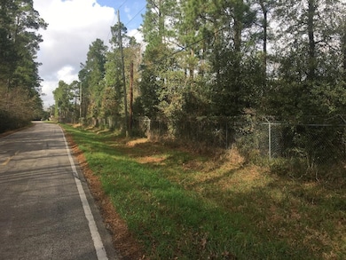 15859 Woodhollow Dr, Conroe, TX 77385 - photo 4