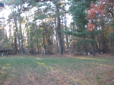 IMG_2877[1]