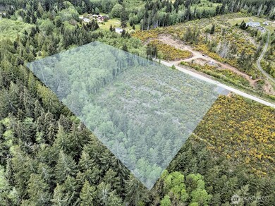 1121 W Highland Rd, Skok, WA 98584 - photo 6