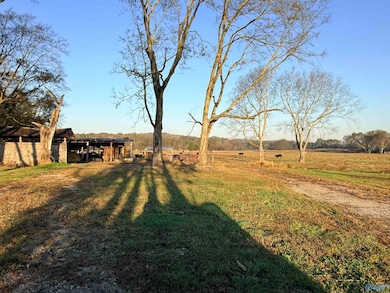 53 Acres County Road 41, Danville, AL 35619 - photo 2