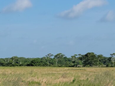 0 Cole Rd unit 94592970, Bay City, TX 77414 - photo 5